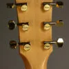 Taylor 50th Anniversary GS Mini-e Rosewood SB LTD Acoustic Electric Guitar – New