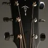 Taylor 512ce Urban Ironbark Acoustic Electric Guitar New