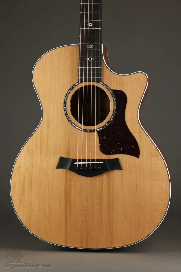 Taylor 514ce Next-Gen Acoustic Electric Guitar – New