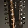 Taylor 552ce 12-String Acoustic Electric Guitar – New