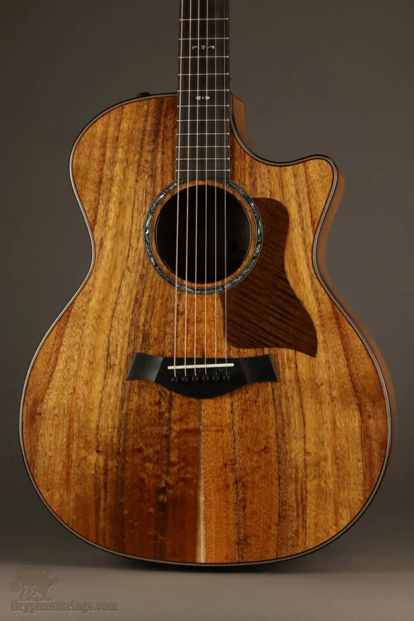 Taylor 724ce Acoustic Electric Guitar – New