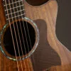 Taylor 724ce Acoustic Electric Guitar – New