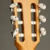 Taylor 812ce-N Nylon String Acoustic Electric Guitar – New