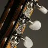 Taylor 812ce-N Nylon String Acoustic Electric Guitar – New