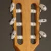 Taylor 812ce-N Nylon String Acoustic Electric Guitar – New