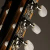 Taylor 812ce-N Nylon String Acoustic Electric Guitar – New