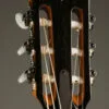 Taylor 812ce-N Nylon String Acoustic Electric Guitar – New