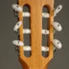 Taylor 812ce-N Nylon String Acoustic Electric Guitar – New