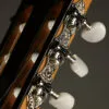 Taylor 812ce-N Nylon String Acoustic Electric Guitar – New