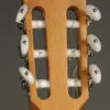 Taylor 812ce-N Nylon String Acoustic Electric Guitar – New