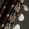 Taylor 812ce-N Nylon String Acoustic Electric Guitar – New