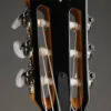 Taylor 812ce-N Nylon String Acoustic Electric Guitar – New