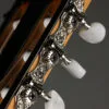 Taylor 812ce-N Nylon String Acoustic Electric Guitar – New