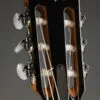 Taylor 812ce-N Nylon String Acoustic Electric Guitar – New