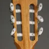 Taylor 812ce-N Nylon String Acoustic Electric Guitar – New