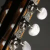 Taylor 812ce-N Nylon String Acoustic Electric Guitar – New
