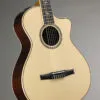 Taylor 812ce-N Nylon String Acoustic Electric Guitar – New