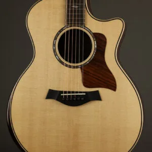 Taylor 814ce Acoustic Electric Guitar – New