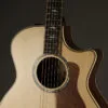 Taylor 814ce Acoustic Electric Guitar – New