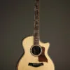 Taylor 814ce Acoustic Electric Guitar – New