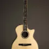 Taylor 814ce-N Nylon String Acoustic Electric Guitar – New