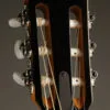 Taylor 814ce-N Nylon String Acoustic Electric Guitar – New