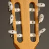 Taylor 814ce-N Nylon String Acoustic Electric Guitar – New
