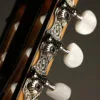 Taylor 814ce-N Nylon String Acoustic Electric Guitar – New