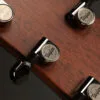 Taylor 814ce Next-Gen Acoustic Electric Guitar – New