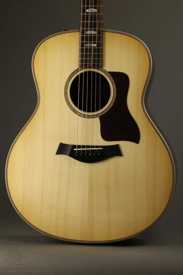 Taylor 818e Acoustic Electric Guitar Retired- New