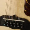 Taylor 855e Legacy 12-String Acoustic Electric Guitar – New