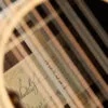 Taylor 855e Legacy 12-String Acoustic Electric Guitar – New