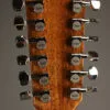 Taylor 855e Legacy 12-String Acoustic Electric Guitar – New