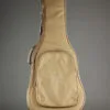 Taylor Academy 10e Acoustic Electric Guitar – New