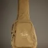 Taylor Academy 10e LTD Acoustic Electric Guitar – New