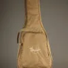 Taylor Academy 12 Acoustic Guitar – New