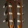 Taylor Academy 12-N Nylon String Acoustic Guitar – New