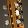 Taylor Academy 12-N Nylon String Acoustic Guitar – New
