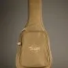 Taylor Academy 12-N Nylon String Acoustic Guitar – New