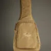 Taylor Academy 12e Acoustic Electric Guitar – New