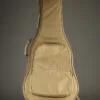Taylor Academy 12e Left Handed Acoustic Electric Guitar – New