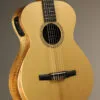 Taylor Academy 12e-N LTD Nylon String Acoustic Electric Guitar – New