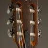 Taylor Academy 12e-N LTD Nylon String Acoustic Electric Guitar – New