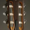 Taylor Academy 12e-N Nylon String Acoustic Electric Guitar – New