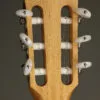 Taylor Academy 12e-N Nylon String Acoustic Electric Guitar – New