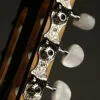 Taylor Academy 12e-N Nylon String Acoustic Electric Guitar – New
