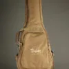 Taylor Academy 12e-N Nylon String Acoustic Electric Guitar – New