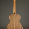 Taylor Academy 12e-N Nylon String Acoustic Electric Guitar – New