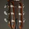 Taylor Academy 12e-N Nylon String Acoustic Electric Guitar – New