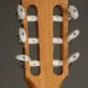 Taylor Academy 12e-N Nylon String Acoustic Electric Guitar – New